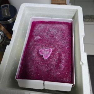 frutascanastra-002 frutascanastra-002