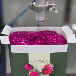 frutascanastra-013 frutascanastra-013