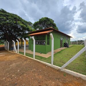 frutascanastra-024 frutascanastra-024