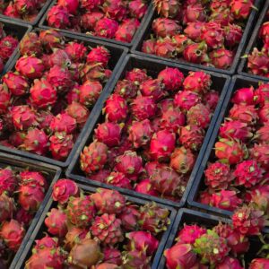 frutascanastra-035 frutascanastra-035